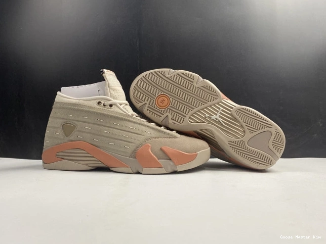 AIR Jordan Low DC9857-200 14 Clot Retro Terra Blush 0820